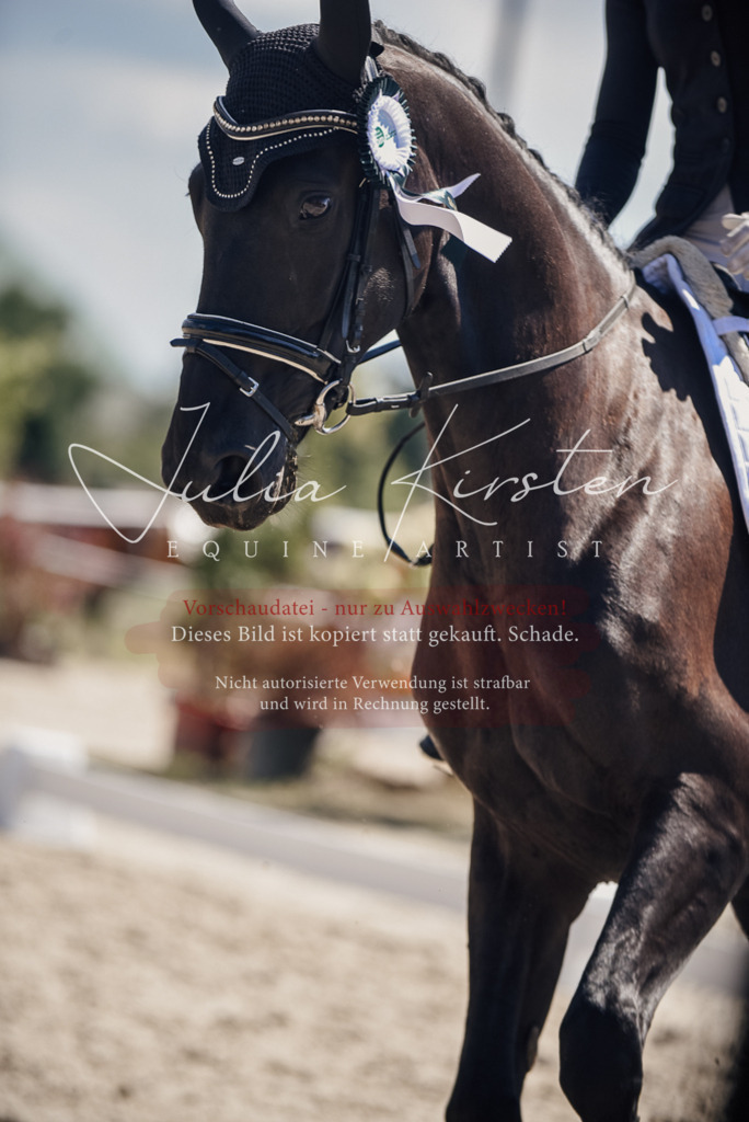 DSC_8825 | Pferde- und Turnierfotografie in Westsachsen. Pferdeportraits, Auftragszeichnungen und intuitive Kunst.