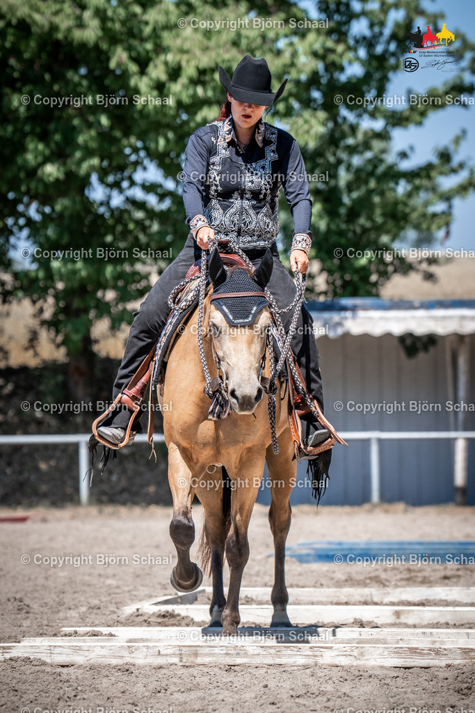 LOE03675 | BS-foto