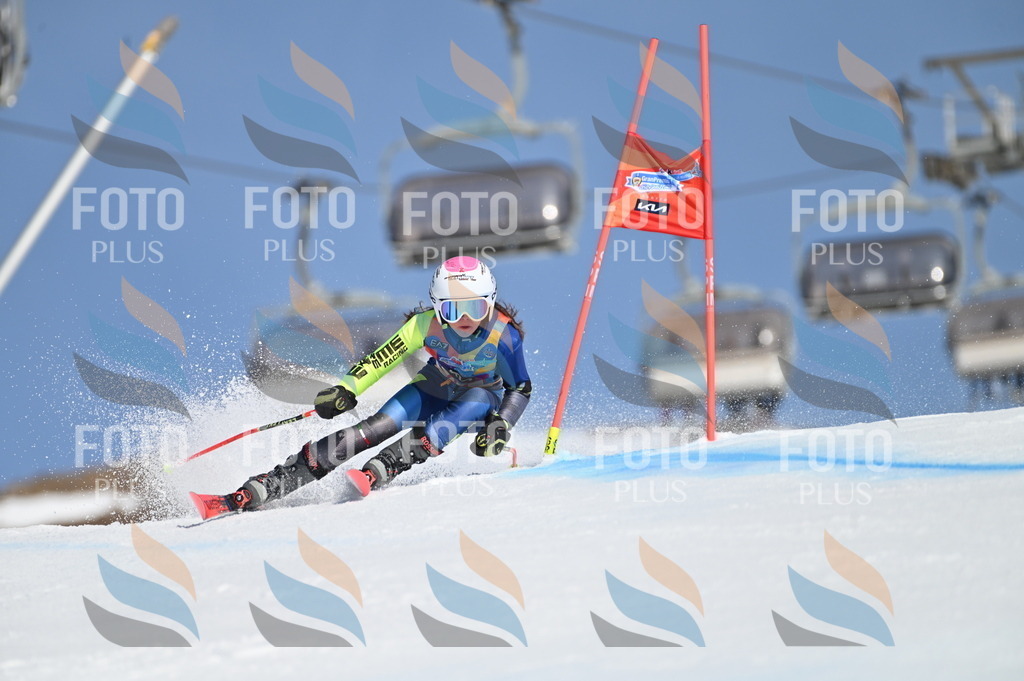 BGV_8797 | holidayphoto