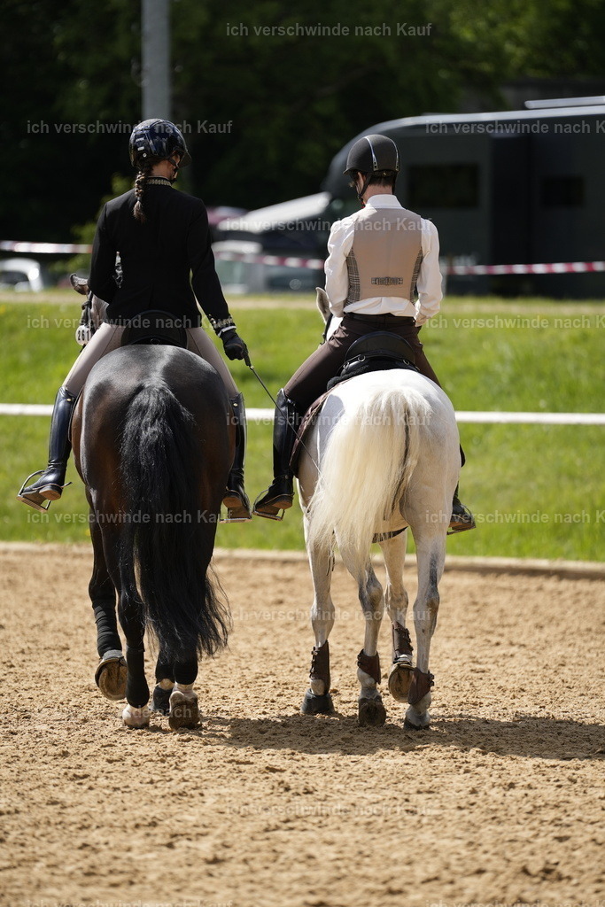 PI26_COW_Stoibphotography_A749479.JPG | working equitationturnier fotograf videograf stoibphotography marixx film working equitation deutschland reitsport turnierfotografie eventfotografie equestrian events