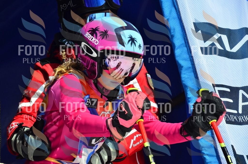 _ELE0300 | holidayphoto