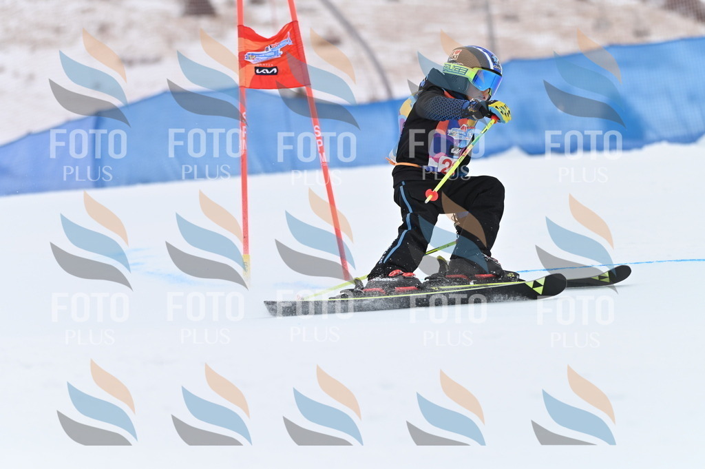 BGV_2738 | holidayphoto