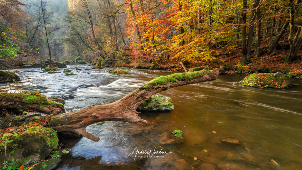 Im Bodetal | Andre Wandrei - Nature Artworx - Realisiert mit Pictrs.com
