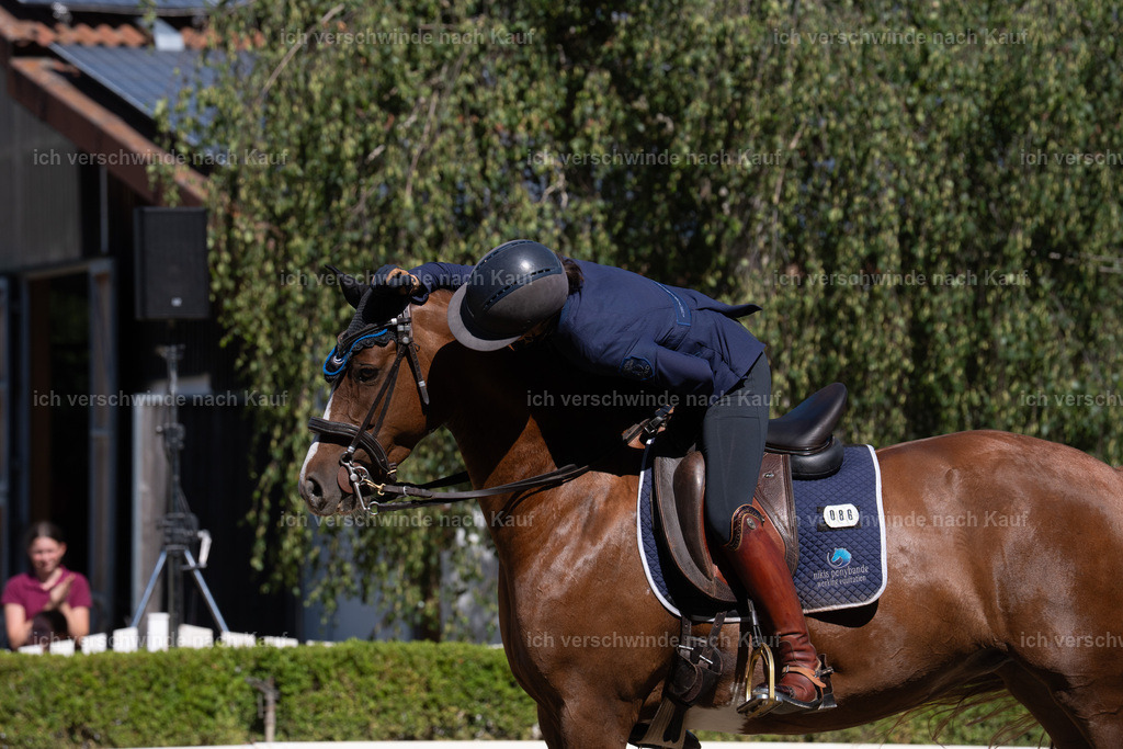 WL_DR_86_sinafilmart_IN07017 | working equitationturnier fotograf videograf stoibphotography marixx film working equitation deutschland reitsport turnierfotografie eventfotografie equestrian events