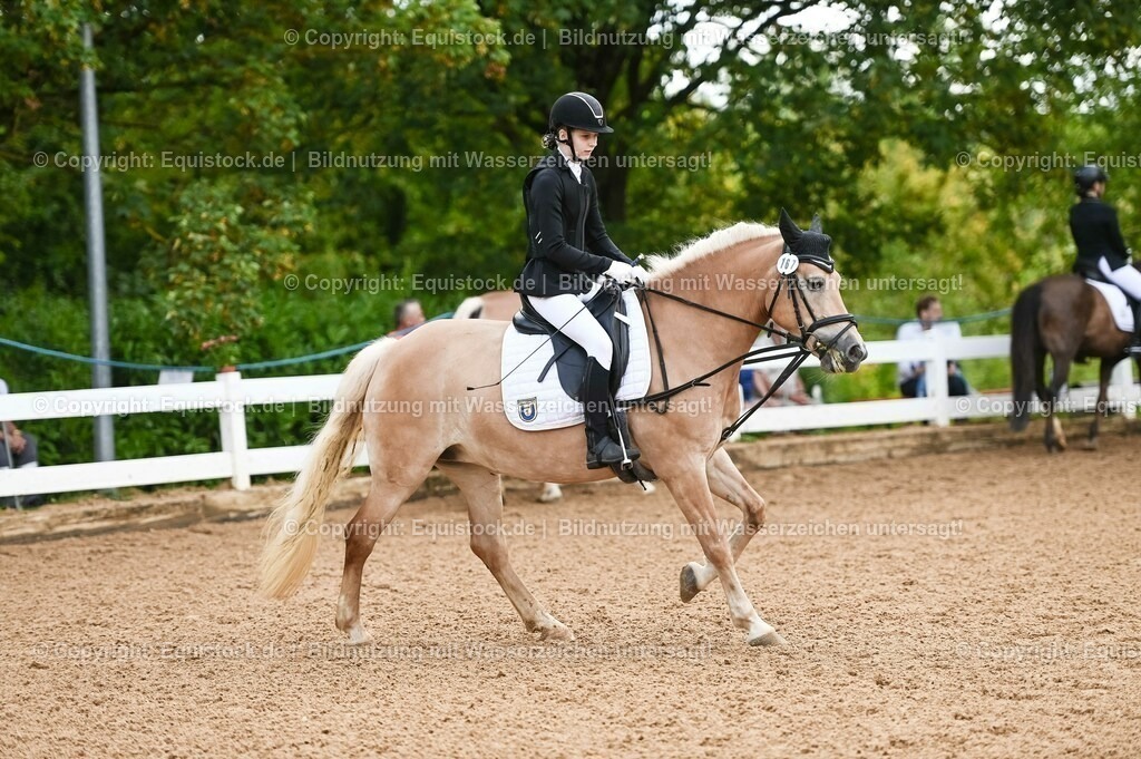 20230716_10-1_Reiter-WB Schritt - Trab - Galopp_0231 | equistock