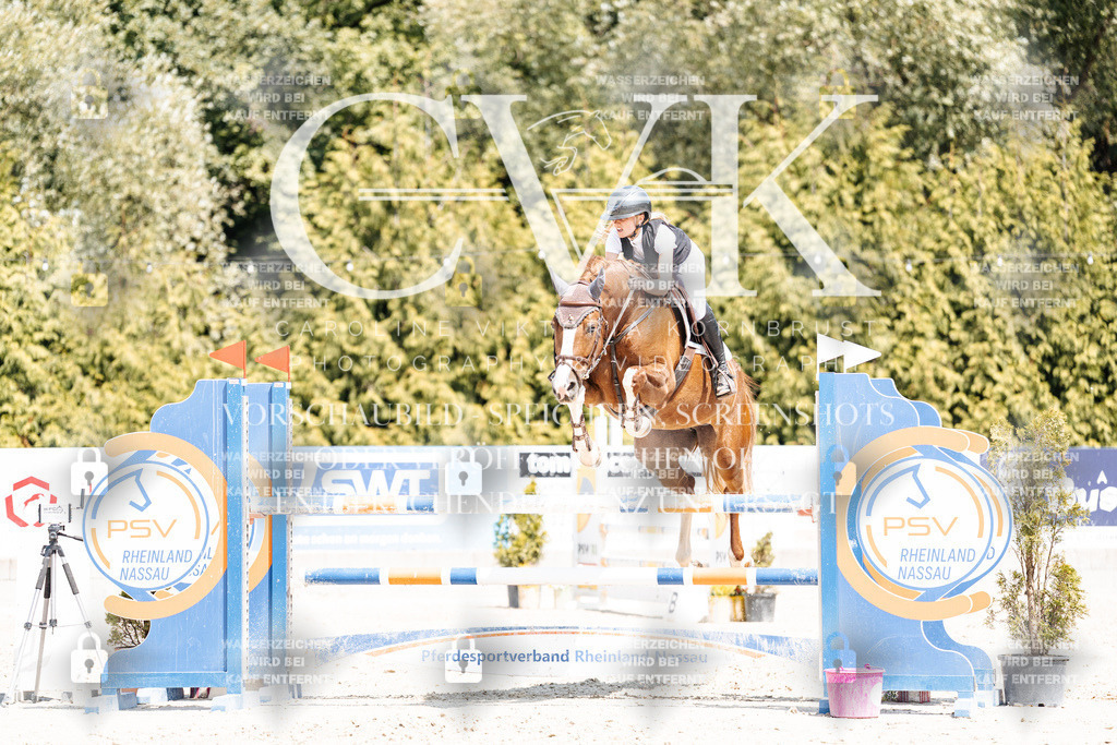 CK900988 | Turnierfotografie Pferdefotografie Trier Rheinland-Pfalz Pferdesport Reitsport Tierfotografie Sportfotografie Pferdevideo Pferdevideografie Equestrianvideography equestrianphotography  - Realisiert mit Pictrs.com
