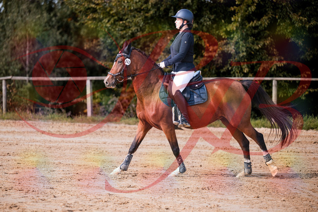 2026_10_03_Siefer-Hof_145724_Z81_38995976 | Professionelle Reitsport-, Turnier- und Eventfotografie von Robert Broda. Galerien mit ausgewählten und bearbeiteten Bildern direkt online ansehen und bestellen.