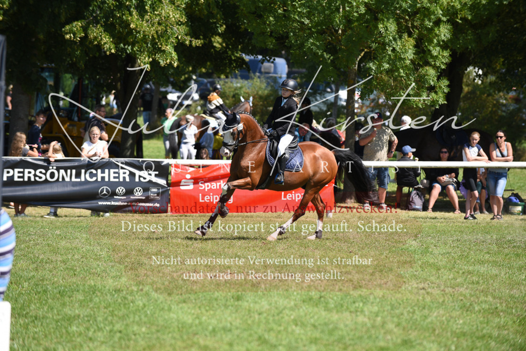 DSC_9600 | Pferde- und Turnierfotografie in Westsachsen. Pferdeportraits, Auftragszeichnungen und intuitive Kunst.