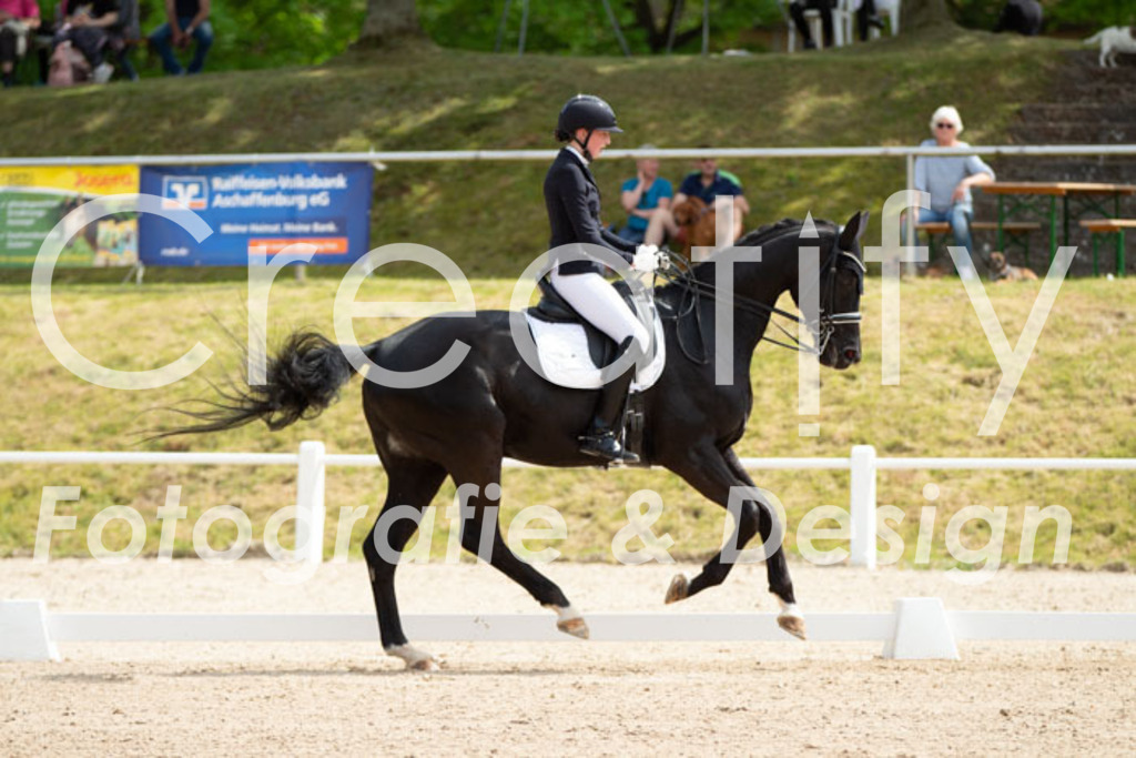 IMG_6627 | Creatify Fotografie