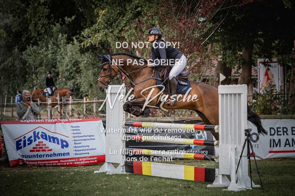 nelerasche_SprL__110Ede_27 | nelerasche