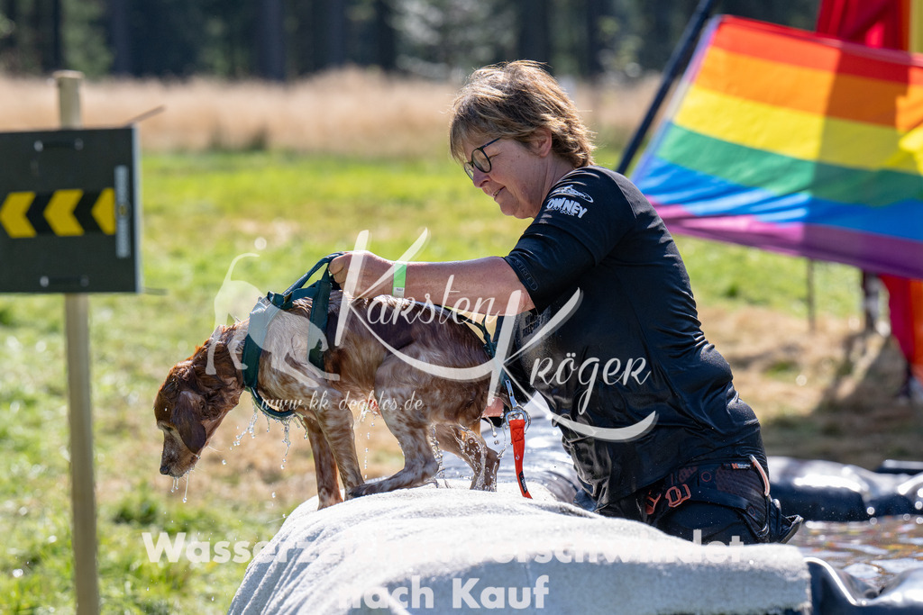 1401_ZZ92818 | kk-dogfotos
