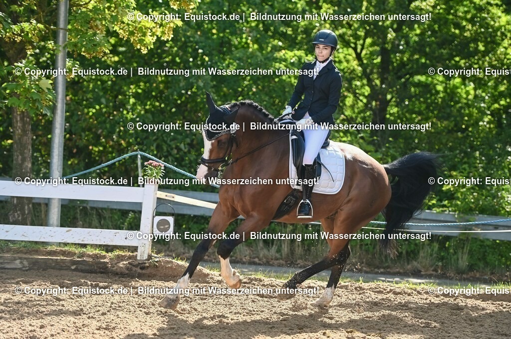 20230716_04_Dressurreiterprüfung Kl.A_0180 | equistock