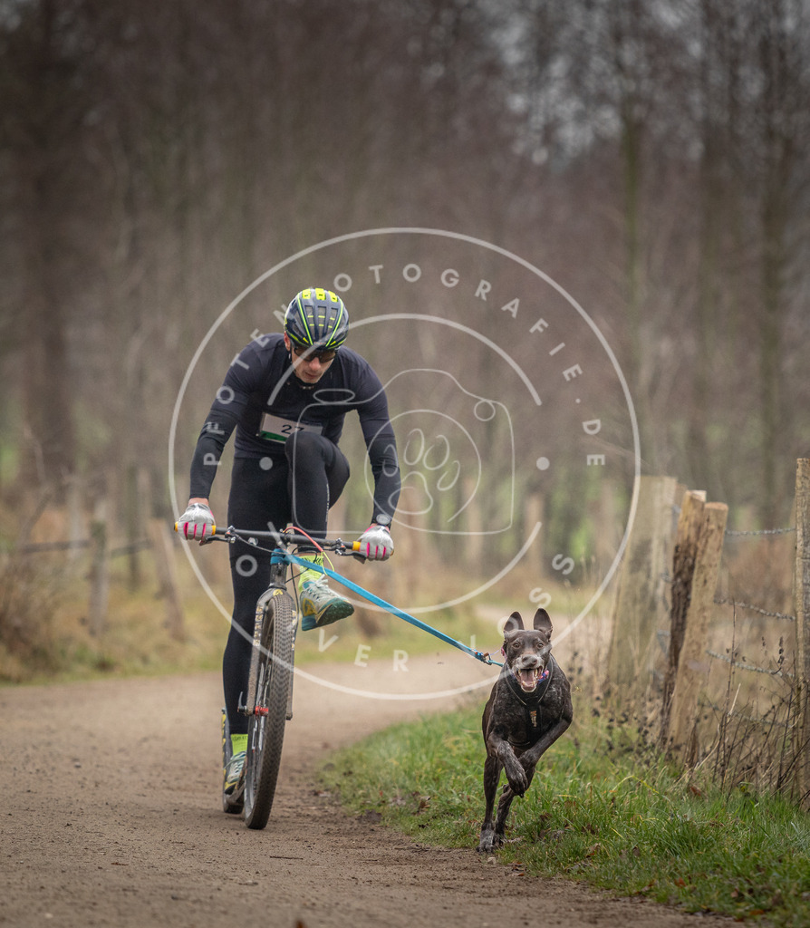 Pfotenfotografie_DV3A2149 | Hundefotografie, Tierfotograf, Pfotenfotografie, Fotoshooting Hund, Hunde Portrait, Hundesport, Hundeportraits, Heideshooting, Hunde, Sportfotograf, Hundefotograf, Turnierhundsport, THS,  - Realisiert mit Pictrs.com