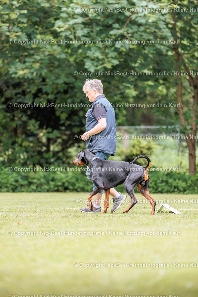 RO-Blumenthal-2026-Nickbest-Hundefotografie-5225 | Dein Hund! Dein Moment! Deine Erinnerungen! Hundefotografie in Bremen Blumenthal. Ich fange die besonderen Momente deines Vierbeiners ein – ob Indoor mit Blitzanlage oder in der freien Natur. Sicher dir dein Moment und dein Termin für eure Erinnerungen.