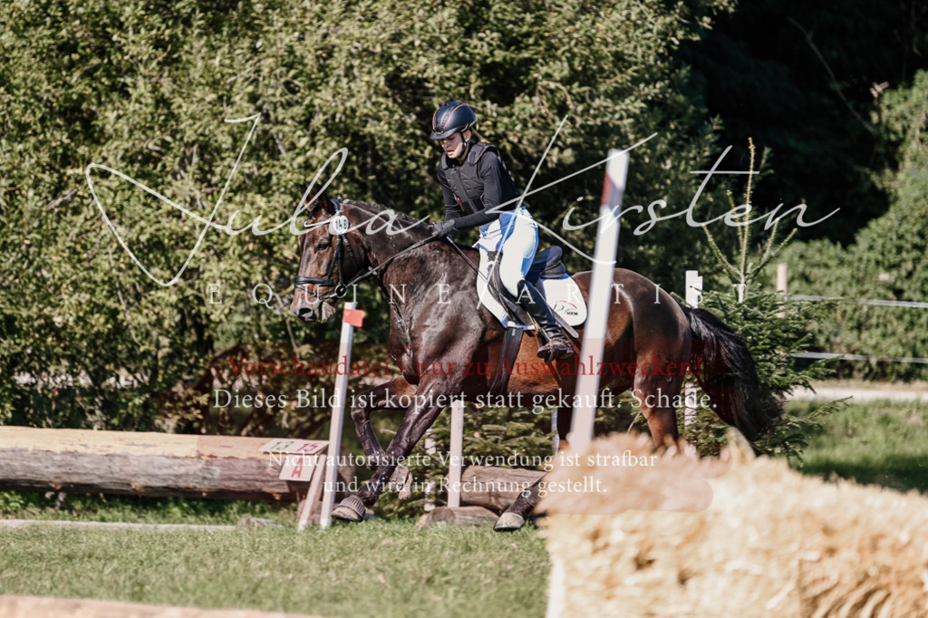 DSC_3425 | Pferde- und Turnierfotografie in Westsachsen. Pferdeportraits, Auftragszeichnungen und intuitive Kunst.