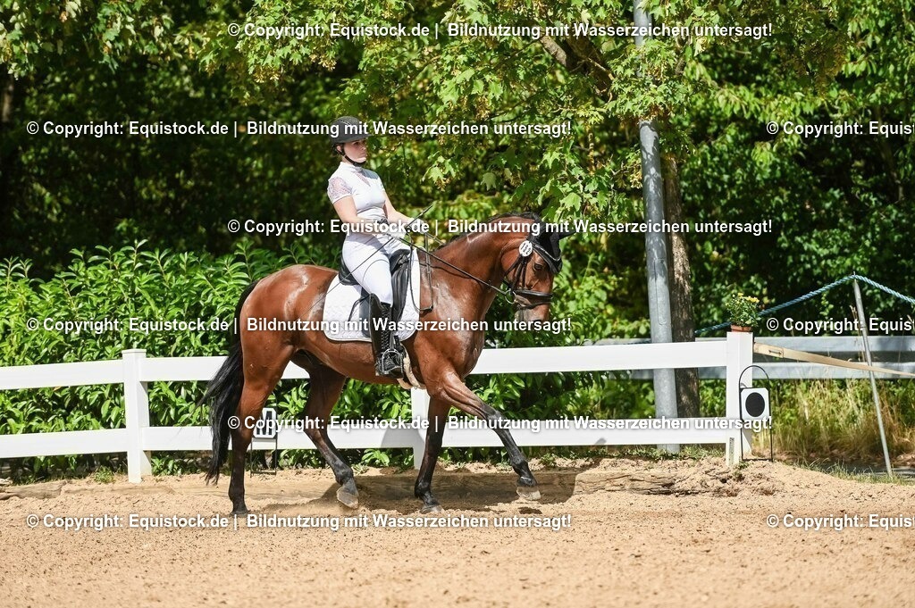 20230715_02_Dressurreiterprüfung Kl.L_0208 | equistock