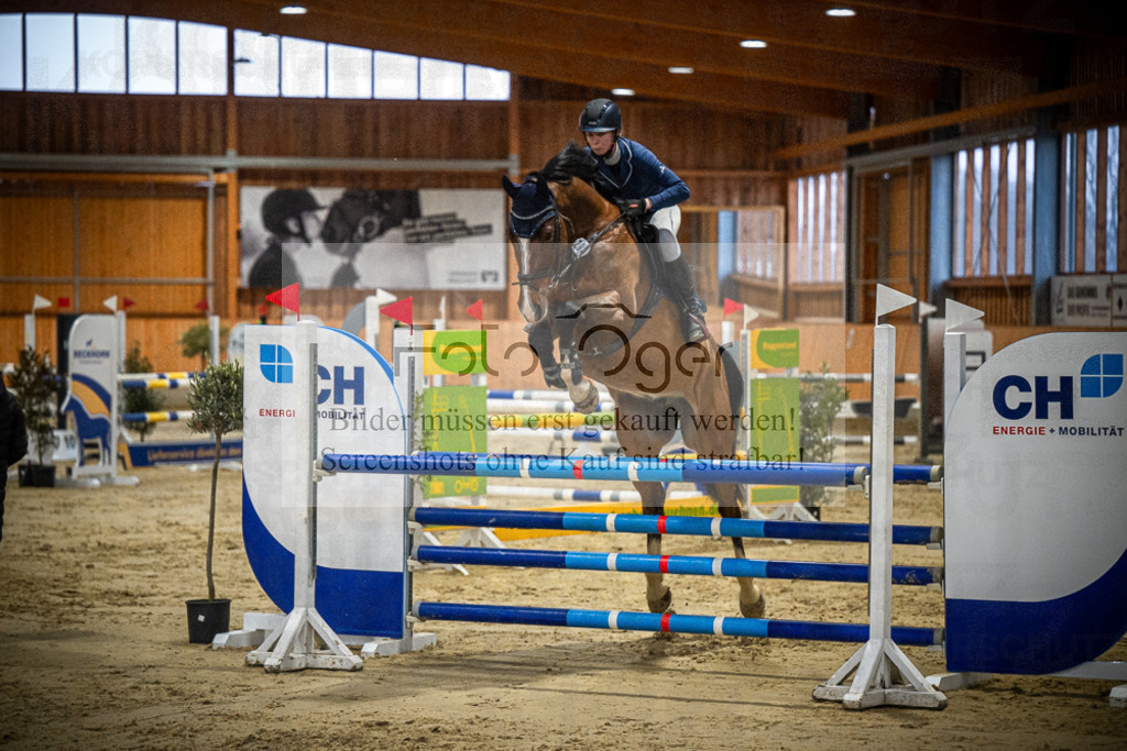 DOS_0301 | Entdecke hochwertige Reitturnierfotos von Foto Oger. Professionell, emotional und authentisch – jetzt Lieblingsmomente im Shop bestellen.Deutschlandweite Turnierfotografie. - Realisiert mit Pictrs.com