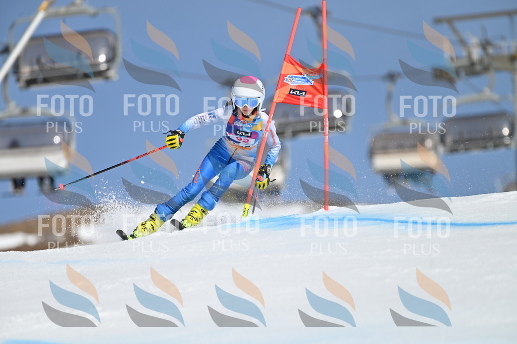 BGV_8755 | holidayphoto