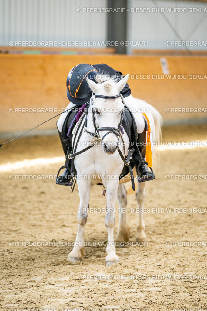 DSC03466 | Pferdegrafie