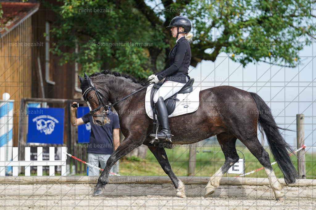 20230826-FAH05087 | Forstinning, 2023, Dressurturnier, Turniersportbilder, Turnierfotografen Bayern, Fotoagentur Herrmann, Reitsportfotografie, Turnierbilder