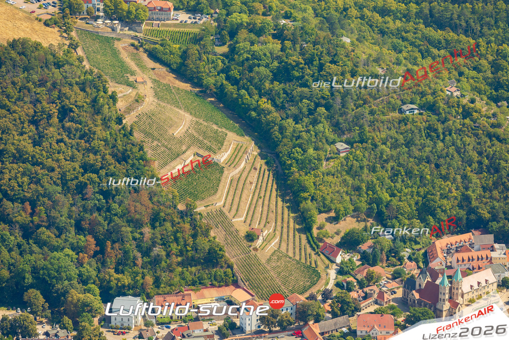 Weinberg Freyburg Bild- Das Luftbild wurde 2025 vom UL-Flugzeug heraus erstellt ( keine Drohne bzw. Drohnenaufnahme ) - Hochauflösende Luftaufnahme -Nicht vergleichbar mit Google Maps oder Satelittenbilder- Die Geschenkidee !Mit Lizenz und Bildrechte bestellbar - CC