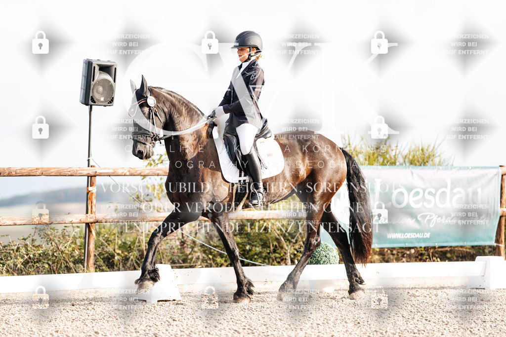 CK900354 | Turnierfotografie Pferdefotografie Trier Rheinland-Pfalz Pferdesport Reitsport Tierfotografie Sportfotografie Pferdevideo Pferdevideografie Equestrianvideography equestrianphotography  - Realisiert mit Pictrs.com