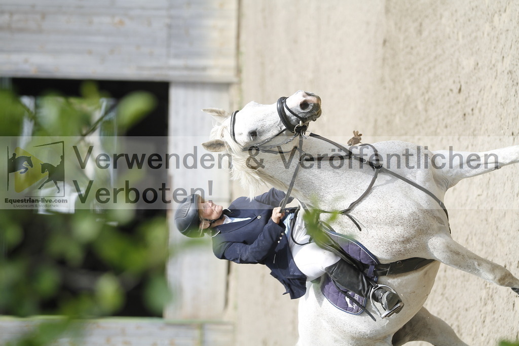 _MG_1327 | equestrian-live-com