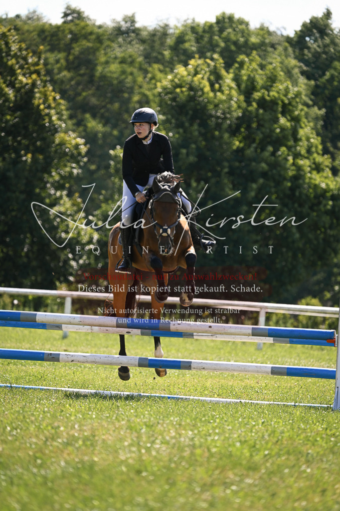 DSC_8901 | Pferde- und Turnierfotografie in Westsachsen. Pferdeportraits, Auftragszeichnungen und intuitive Kunst.