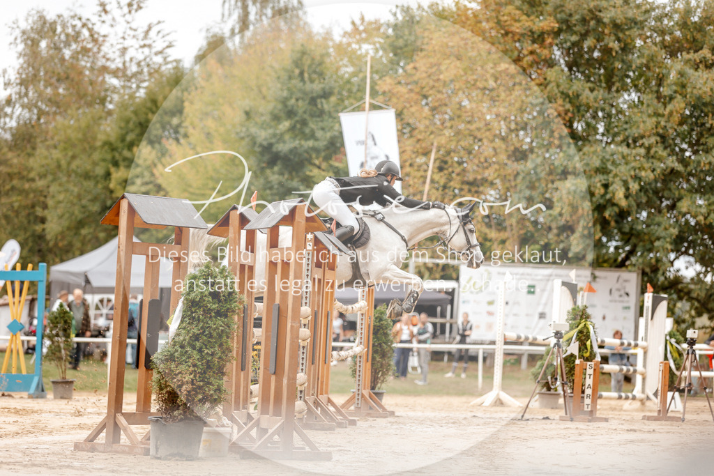 3I6A8032 | Stimmungsvolle Portraits und Reitsportfotografie im Ruhrgebiet und im Münsterland.

Pferdefotografie, Hundefotografie, Tierfotografie, Reportagen, Portraits von Tier und Mensch, Turnierfotografie in Bochum, Recklinghausen, Marl, Haltern am See, Dülmen.. - Realisiert mit Pictrs.com