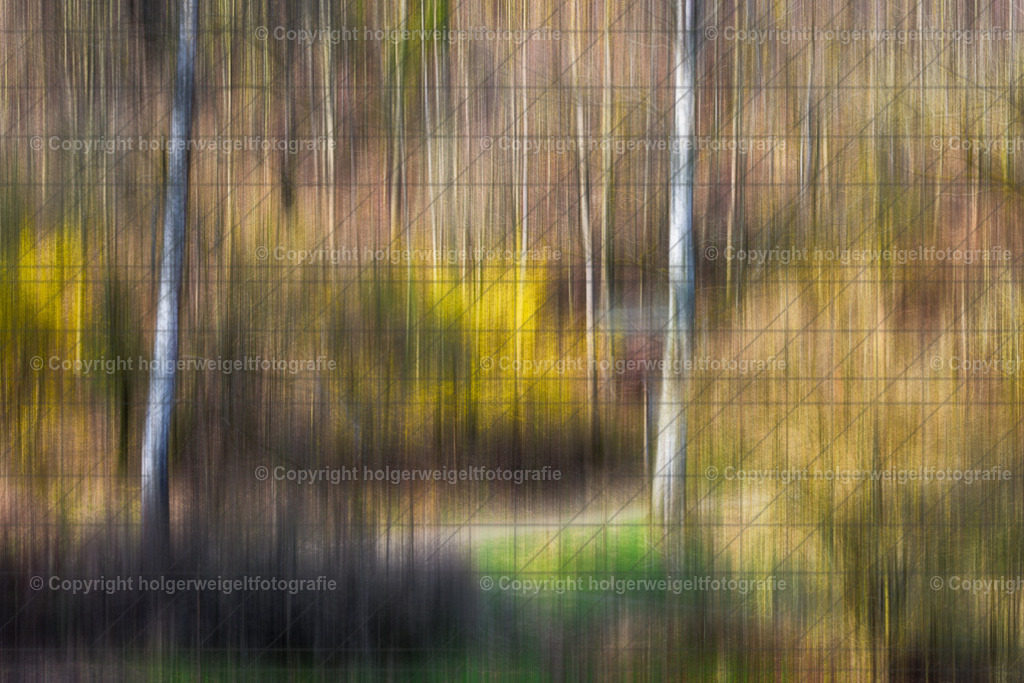 Birkenweg | Kaufen sie online außergewöhnliche Fotografien auf Leinwand Acrylglas Fotoprint Aludibond von holgerweigeltfotografie - Realisiert mit Pictrs.com