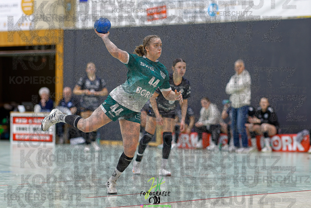 Frauen Regionalliga (HHV); HSG Kleenheim/Langgöns - HSG Baunatal | Frauen Regionalliga (HHV); HSG Kleenheim/Langgöns - HSG Baunatal am 23.11.2025 in Oberkleen (Weidig-Halle)Photo © 2025 - Jörg Heinrich - Realisiert mit Pictrs.com