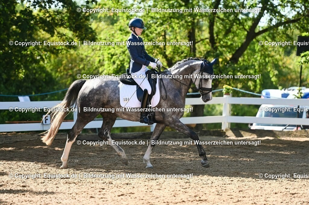 20230715_06_Dressurpferdeprfg. Kl.A_0303 | equistock