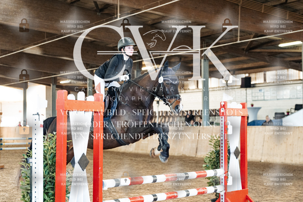 CK903789 | Turnierfotografie Pferdefotografie Trier Rheinland-Pfalz Pferdesport Reitsport Tierfotografie Sportfotografie Pferdevideo Pferdevideografie Equestrianvideography equestrianphotography  - Realized with Pictrs.com