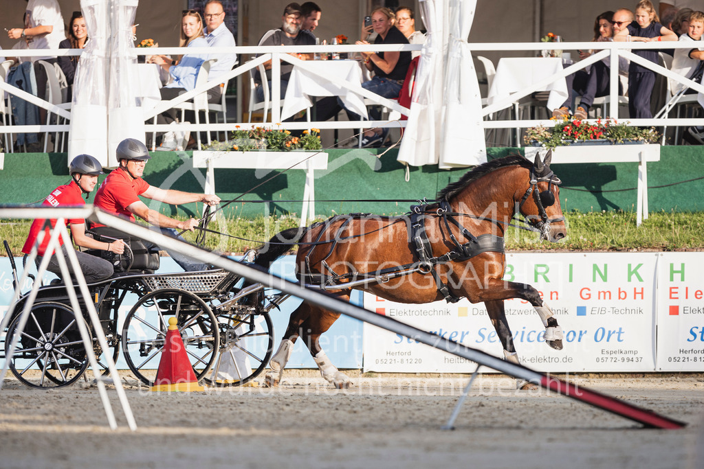 250711_BHO_Showabend-822 | Deine schönsten Turniermomente als professionelle Fotos! Entdecke hochwertige Pferdesport-Fotografie im Online-Shop. Jetzt Fotos finden & bestellen!