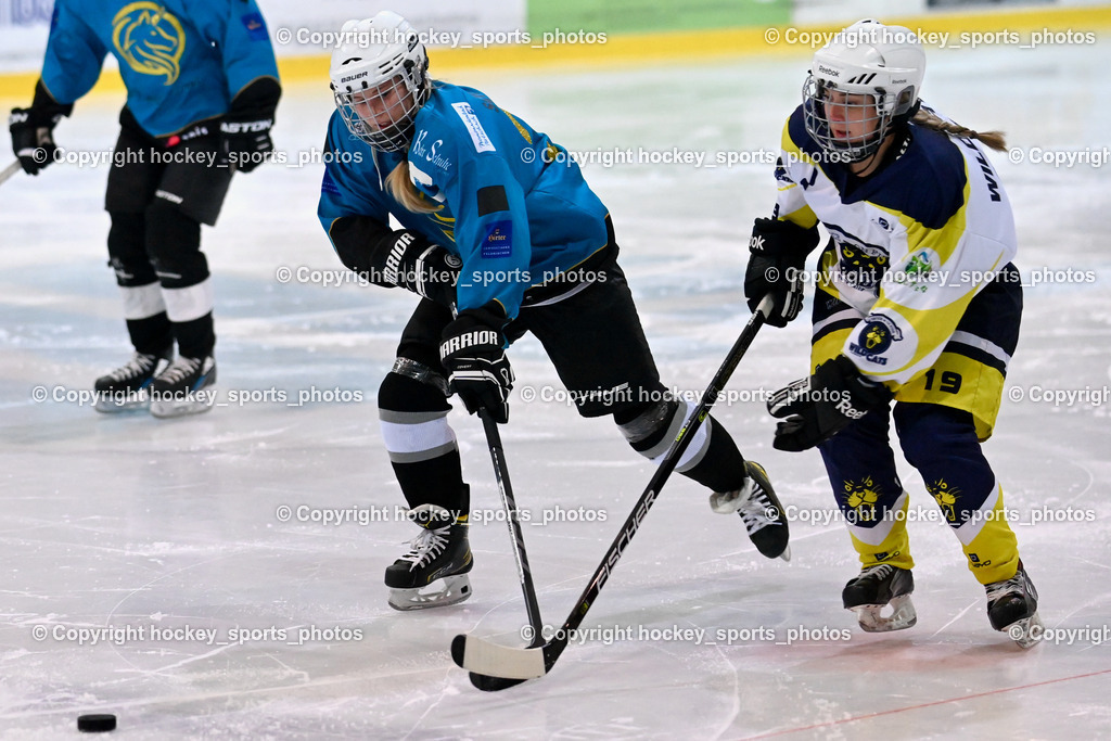 BST_6325 | hockey sports photos, Pressefotos, Sportfotos, hockey247, win 2day icehockeyleague, Handball Austria, Floorball Austria, ÖVV, Kärntner Eishockeyverband, KEHV, KFV, Kärntner Fussballverband, Österreichischer Volleyballverband, Alps Hockey League, ÖFB, 