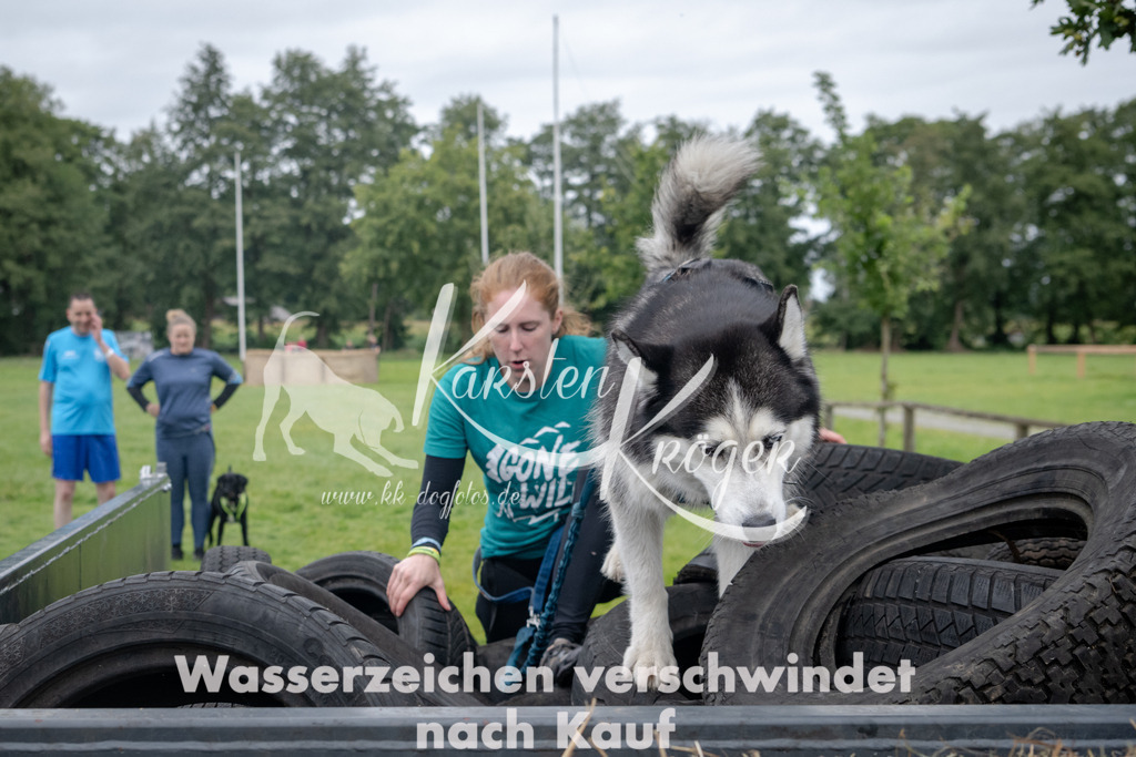 1231_ZZ91032 | kk-dogfotos