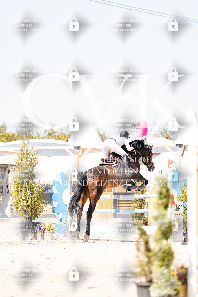 CK909941 | Turnierfotografie Pferdefotografie Trier Rheinland-Pfalz Pferdesport Reitsport Tierfotografie Sportfotografie Pferdevideo Pferdevideografie Equestrianvideography equestrianphotography  - Realisiert mit Pictrs.com