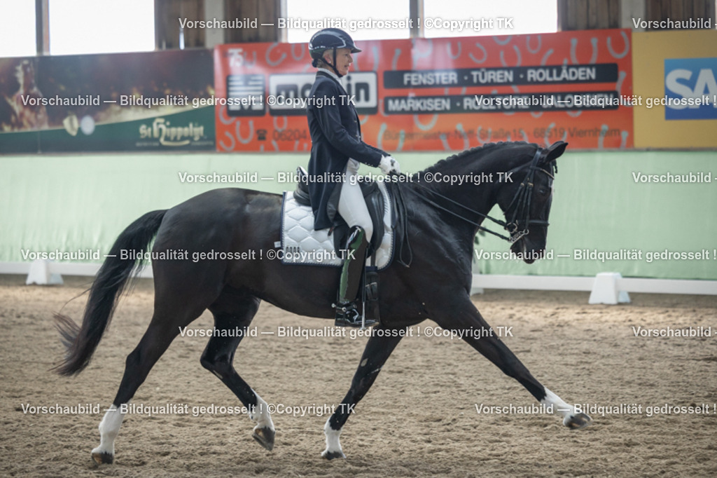 _D5A4639 | Emotionale Pferde- & People-Fotografie rund um Heidelberg, Leimen & Umgebung. Natürliche Fotos von Pferd, Mensch & Familie. Jetzt Termin sichern!