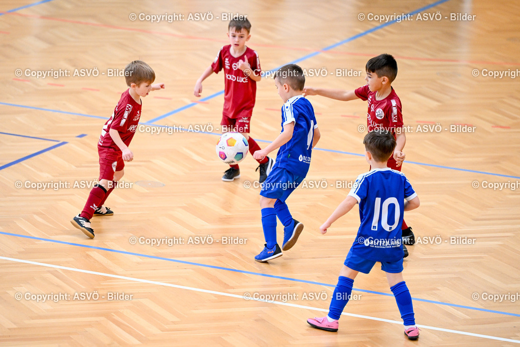 ASVÖ_ Fussball Nachwuchs Hallenturnier 2026_ SV Gallneukirchen_ 28.02.2026-251 | 28.02.2026, Gallneukirchen, AUT, ASVÖ, Fussball Nachwuchs Hallenturnier 2026, SV Gallneukirchen im Bild Teilnehmer U7©Harald Dostal / fodo.media - Realisiert mit Pictrs.com