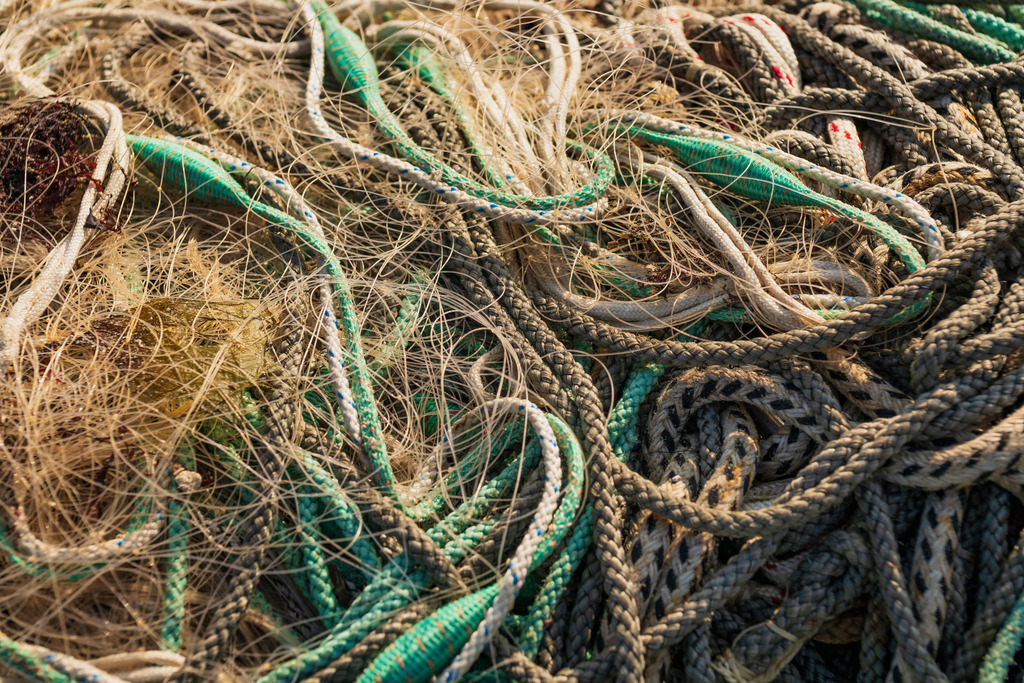2025_03_28_OSTSEE-KAPPEL+MASSHOLM+QUERN_MCP7846 | Hochwertig gedruckte Fotografien für die Wand, als Kalender und zum Verschenken. Hamburg & Norddeutschland und überall wo ich mit der Kamera unterwegs war.