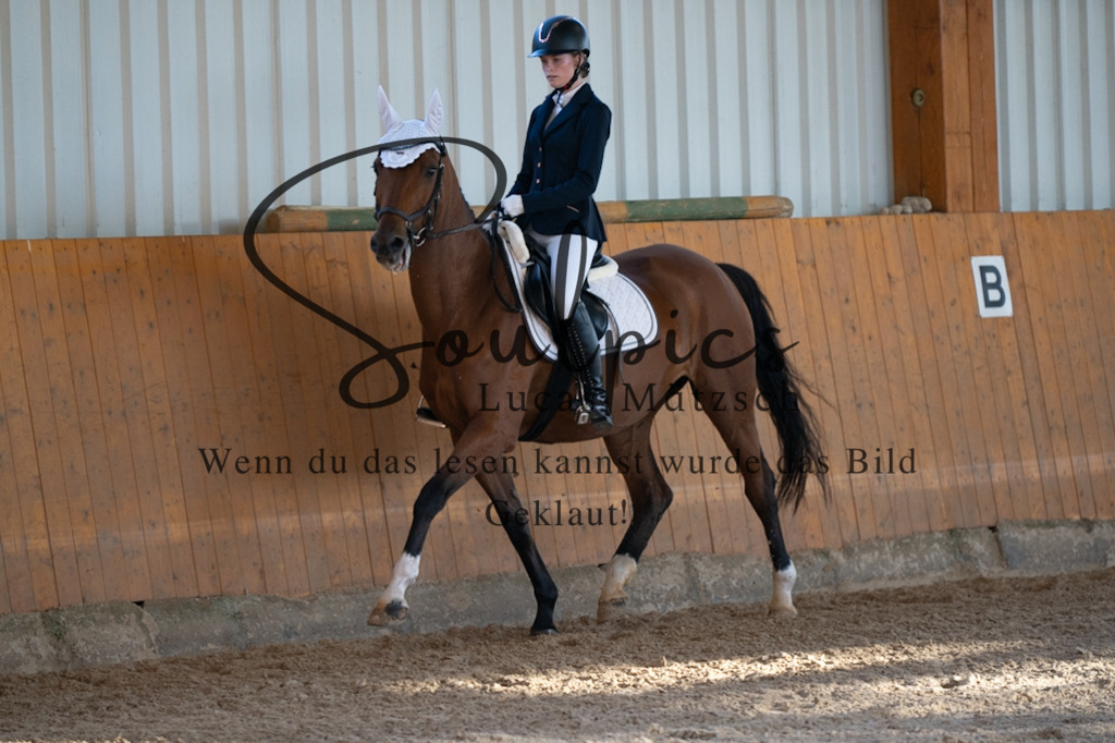 A7V01606 | Pferdefotograf