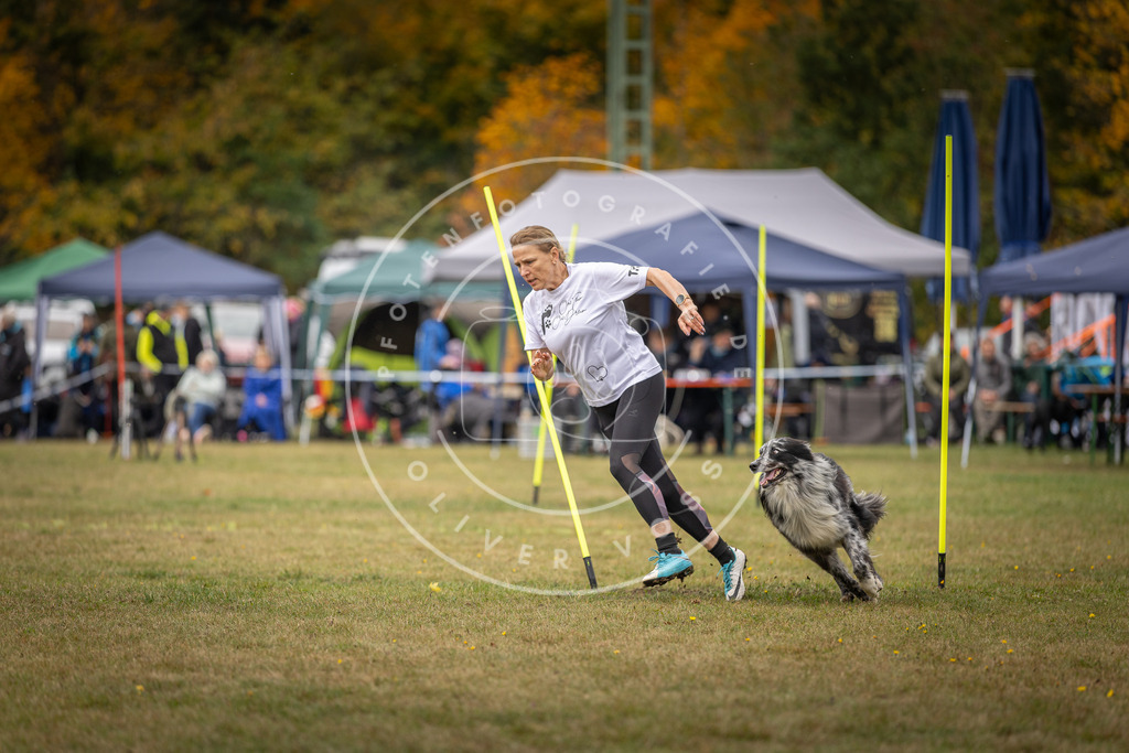 Pfotenfotografie_DV3A5992 | Hundefotografie, Tierfotograf, Pfotenfotografie, Fotoshooting Hund, Hunde Portrait, Hundesport, Hundeportraits, Heideshooting, Hunde, Sportfotograf, Hundefotograf, Turnierhundsport, THS,  - Realisiert mit Pictrs.com