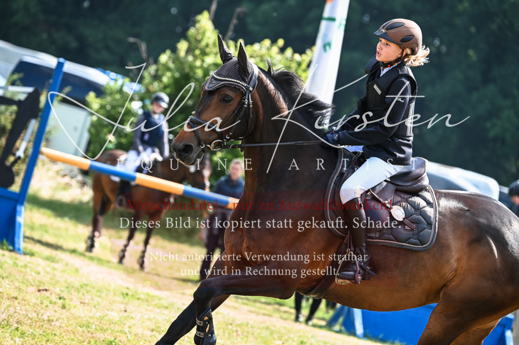 DSC_7985 | Pferde- und Turnierfotografie in Westsachsen. Pferdeportraits, Auftragszeichnungen und intuitive Kunst.