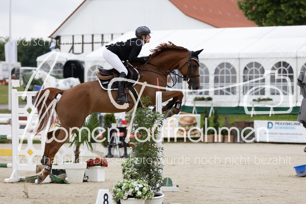 BHO-2PhSpr-M-006 | MomenTaufnahmen Pferdesportfotos