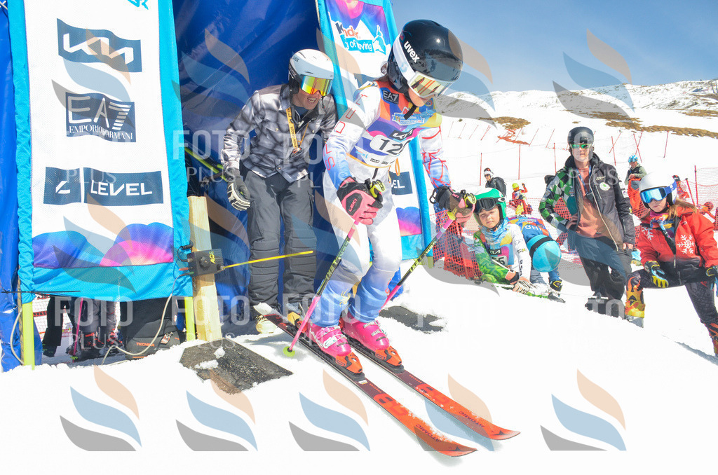 _ELE6021 | holidayphoto