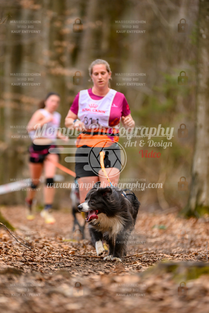 MompixPhotography_Habay2025_SA_CCC-239 | PayLife