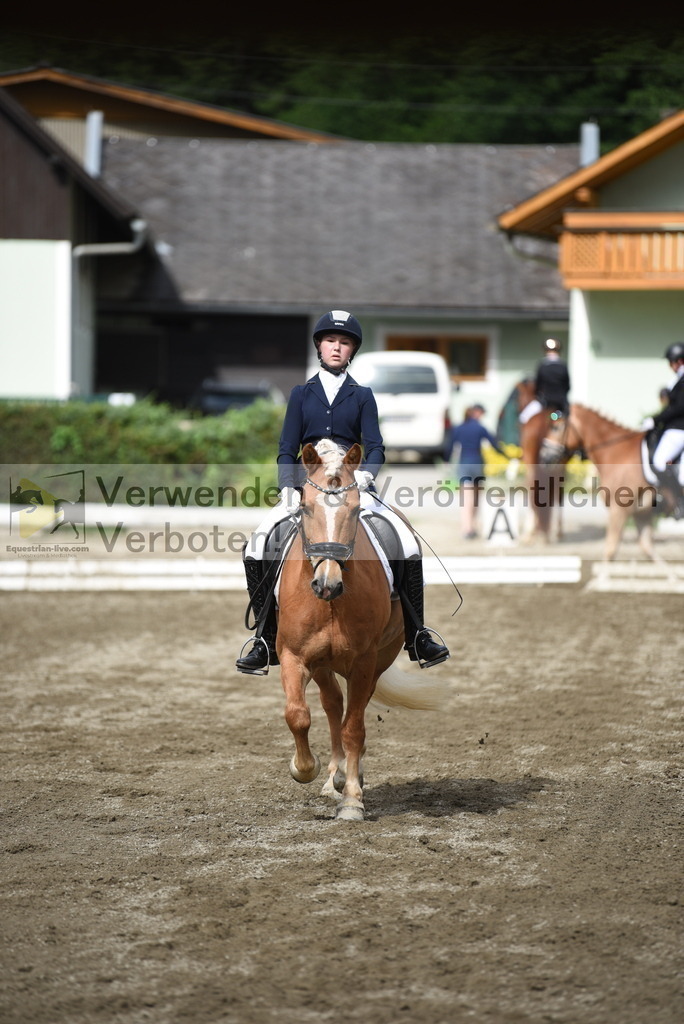 DSC_4970 | equestrian-live-com