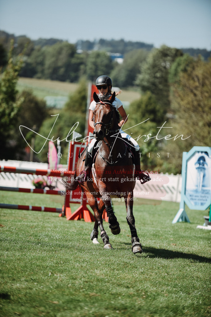 DSC_3224 | Pferde- und Turnierfotografie in Westsachsen. Pferdeportraits, Auftragszeichnungen und intuitive Kunst.