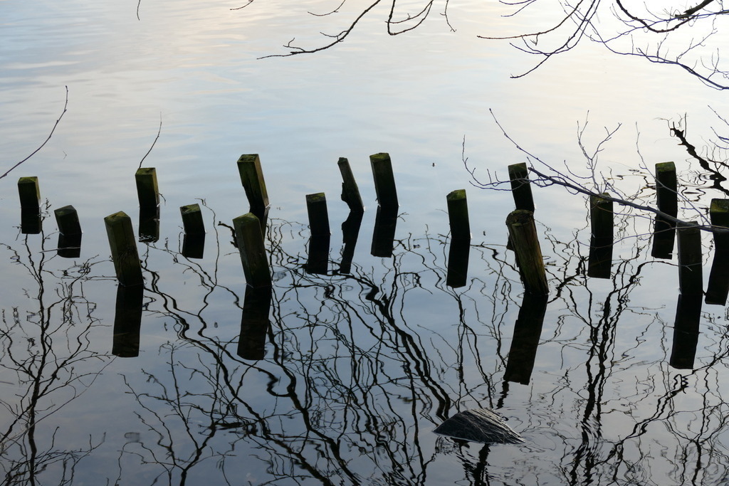 P6420968 | Annaeherungen - Realisiert mit Pictrs.com