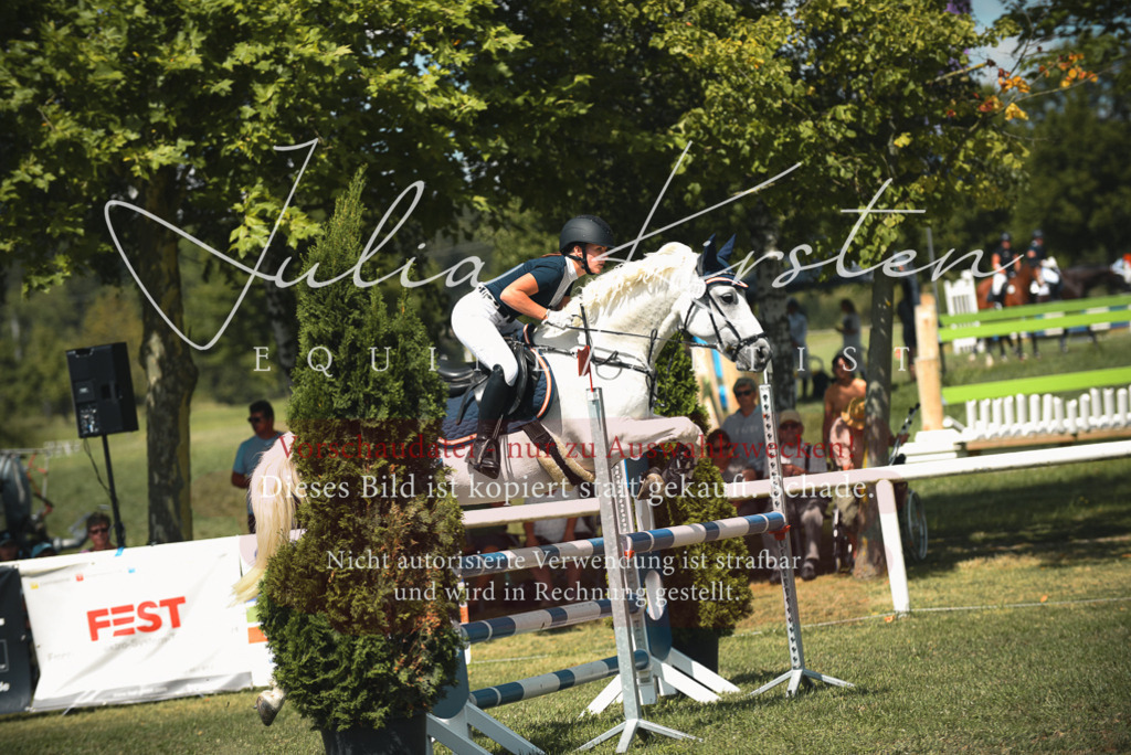 DSC_6754 | Pferde- und Turnierfotografie in Westsachsen. Pferdeportraits, Auftragszeichnungen und intuitive Kunst.